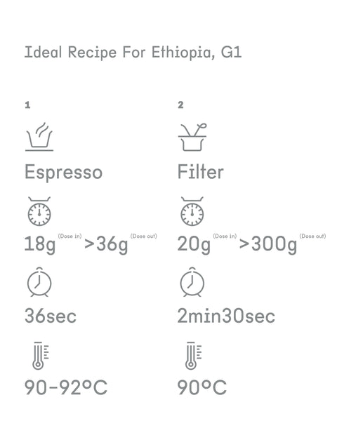 Ethiopia Coffee Bean